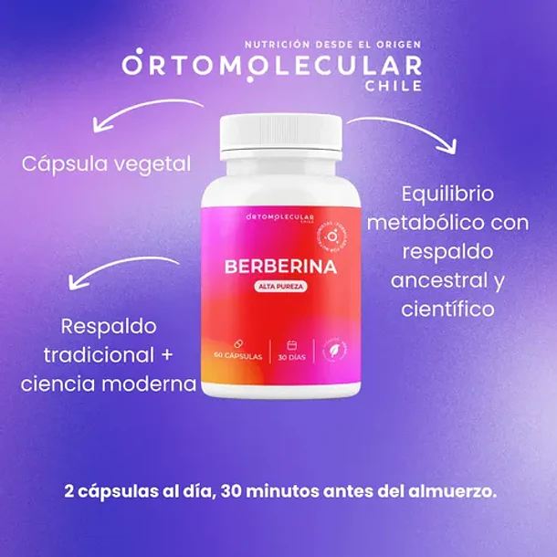 Berberina 500mg 60 Capsulas Alta Pureza Equilibrio Metabolico Y Bienestar Corporal Ortomolecular Sin Sabor 7