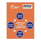 Now Probiotico - 10 Cepa 25 Billones 4