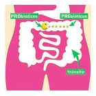 Now Probiotico - 10 Cepa 25 Billones 7