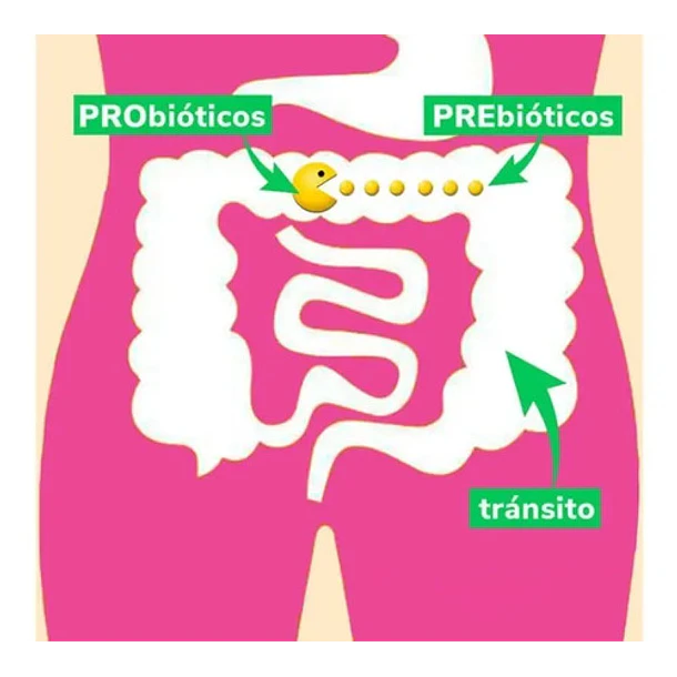 Now Probiotico - 10 Cepa 25 Billones 7