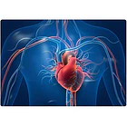 Vitamina D3 + K2 Menaq7 Liposomal 60 Capsulas Salud Osea Y Cardiovascular Ortomolecular Sin Sabor 8