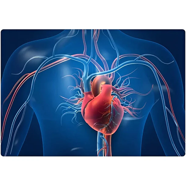 Vitamina D3 + K2 Menaq7 Liposomal 60 Capsulas Salud Osea Y Cardiovascular Ortomolecular Sin Sabor 8