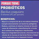 Nup -probiotico Defensas + Vitaminas Y Minerales - 60 Caps N/a 8