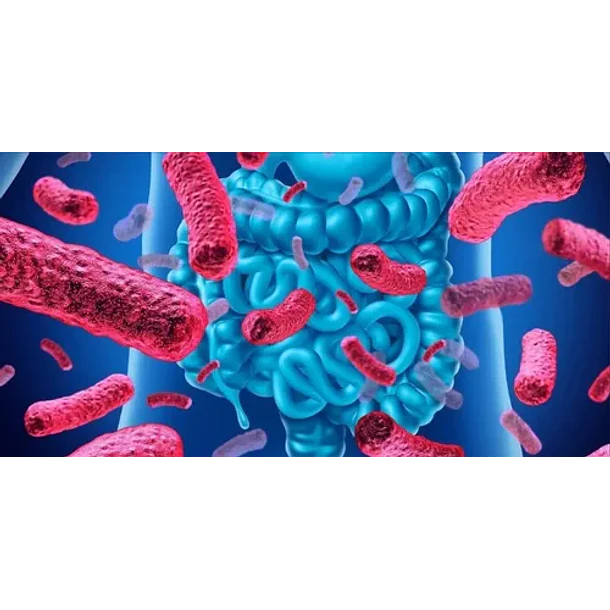 Lactibiane - Atb Probiotico 12b Rhamnosus La801 (10 Caps) Sin Sabor 4