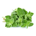 Now - Aceite De Oregano 90 Capsulas Orégano 5