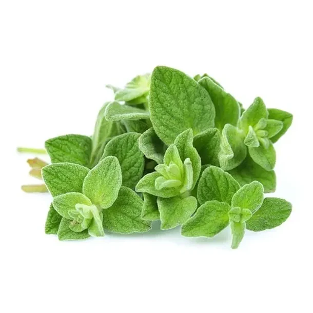 Now - Aceite De Oregano 90 Capsulas Orégano 5