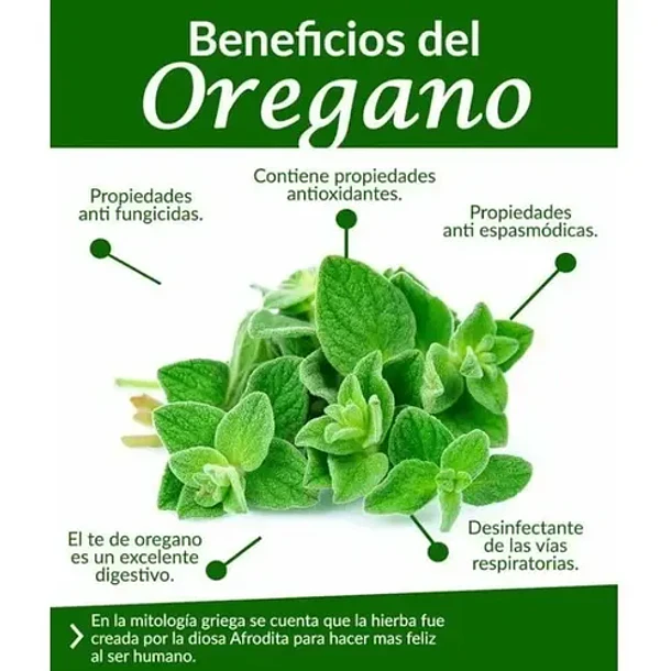 Now - Aceite De Oregano 90 Capsulas Orégano 6