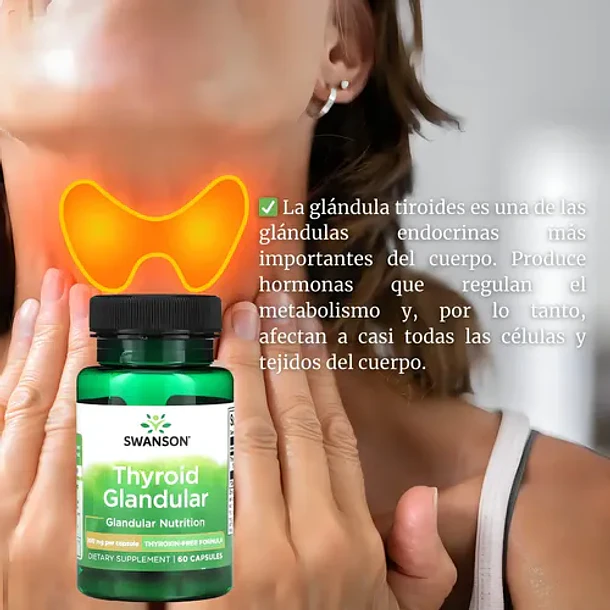 Swanson Tiroides Glandular 200 Mg 60 Capsulas Sabor Sin Sabor 3