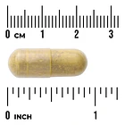 Swanson Absorción Avanzada De Berberina 550mg N/a 3