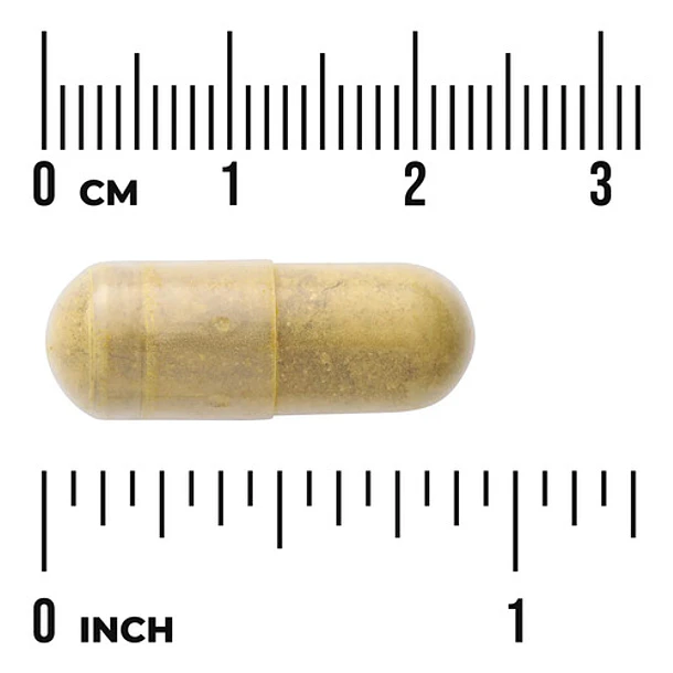 Swanson Absorción Avanzada De Berberina 550mg N/a 3