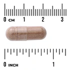 Swanson- Rhodiola Rosea Root 400mg 100capsulas 3
