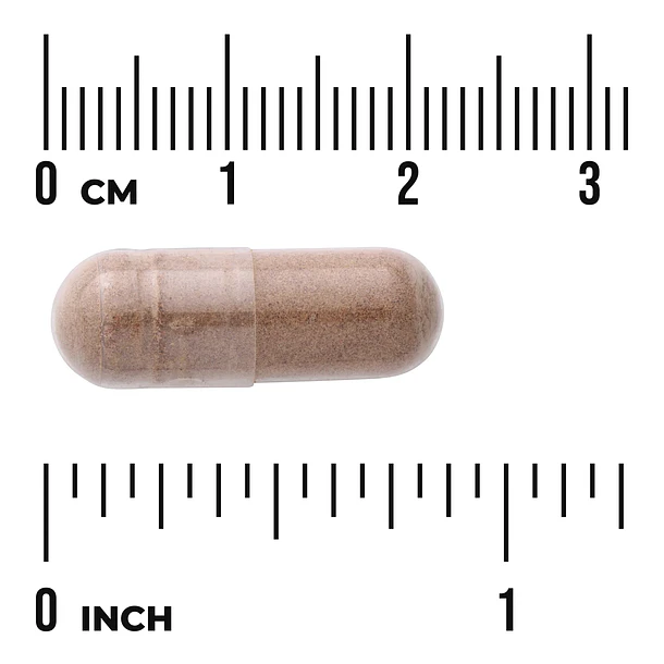 Swanson- Rhodiola Rosea Root 400mg 100capsulas 3