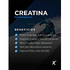 Strive Nutrition - Creatina Mujer Monohidratada 300g Sin Sabor 3