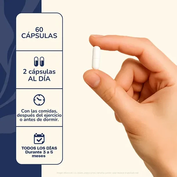 Citrato De Magnesio Y Potasio 60 Cápsulas Karun Life Suplemento Mineral Sin Sabor 4