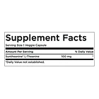 Swanson - L-teanina Suntheanina 100mg 60 Capsulas Veg N/a 2
