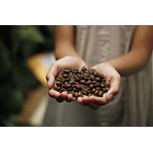 Señor K- Café En Grano Blend Santa Rosa 100gramos 8