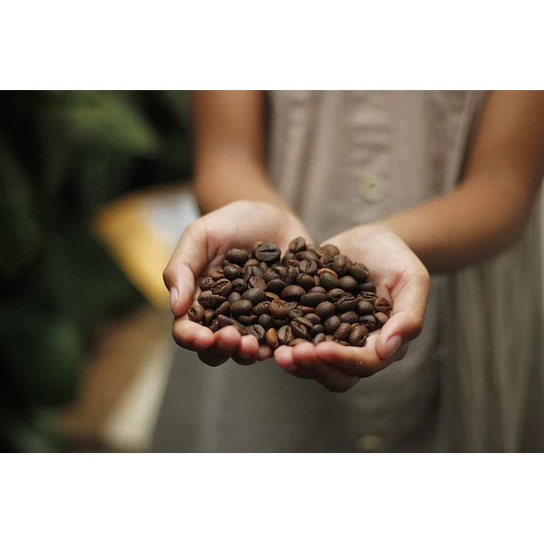Señor K- Café En Grano Blend Santa Rosa 100gramos 8
