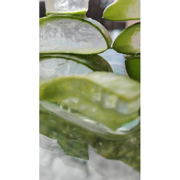 Manare- Aloe Vera Gel 473ml Natural 6