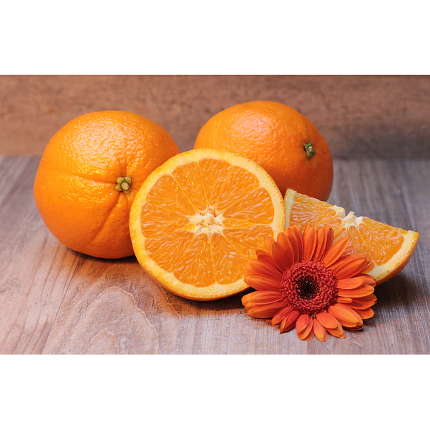 Fdc- Vitamina C 1000 Mg + Zinc   60 Comprimidos 2