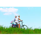 Swanson- B12 Cyanocobalamin 1.000mcg 100lozenges 6