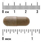Swanson- Gotu Kola 435mg  Mejora Circulacion 60 Capsulas 3