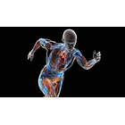 Bodyboost- Power Gummies 60 Gomitas 4