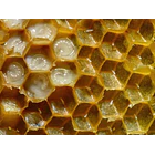 Bees & Health- Miel Cruda Y Sin Filtrar De Tineo 500 Gramos 5