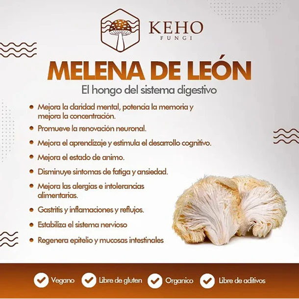 Keho Fungi - Melena De León Concentrado 990mg 30 Caps Sin Sabor 3