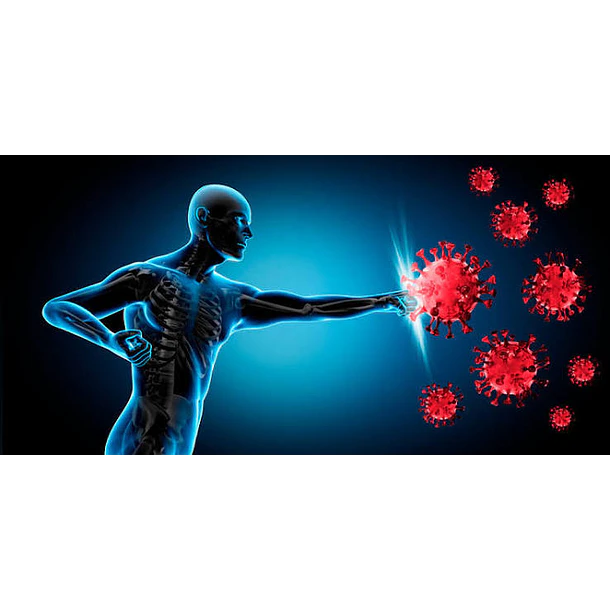 Extremo Sur- ZMA (Zinc + Magnesio + Vit B6) 90 Cápsulas 3
