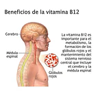 Magmagen - Complejo B-12 Liquido 1,200 Mcg 60 Ml Sin Sabor 3