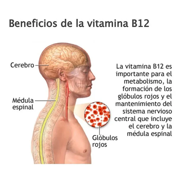 Magmagen - Complejo B-12 Liquido 1,200 Mcg 60 Ml Sin Sabor 3