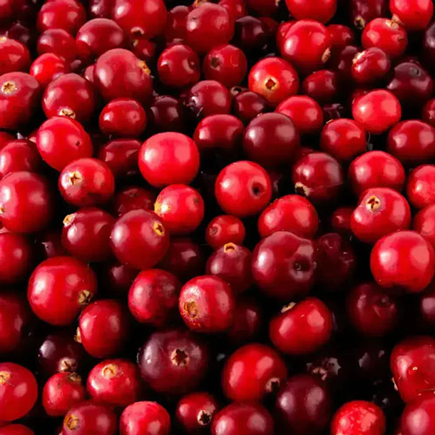 Nativ For Life - Cranberry En Polvo 60g Berry 6
