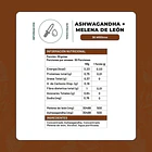 Karun life- Ashwagandha + Melena de León 30 ml 2