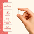 Karun Life- Probiótico Pylori Stop 30 Cápsulas Sin Sabor 4