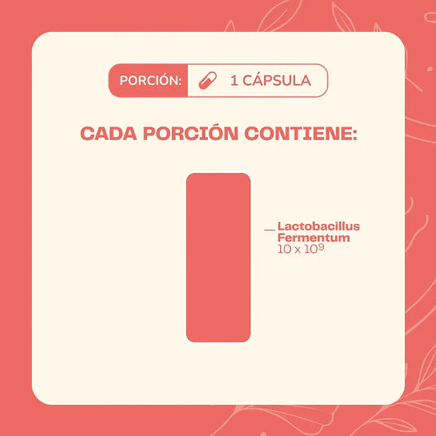 Karun Life- Probiótico Pylori Stop 30 Cápsulas Sin Sabor 5
