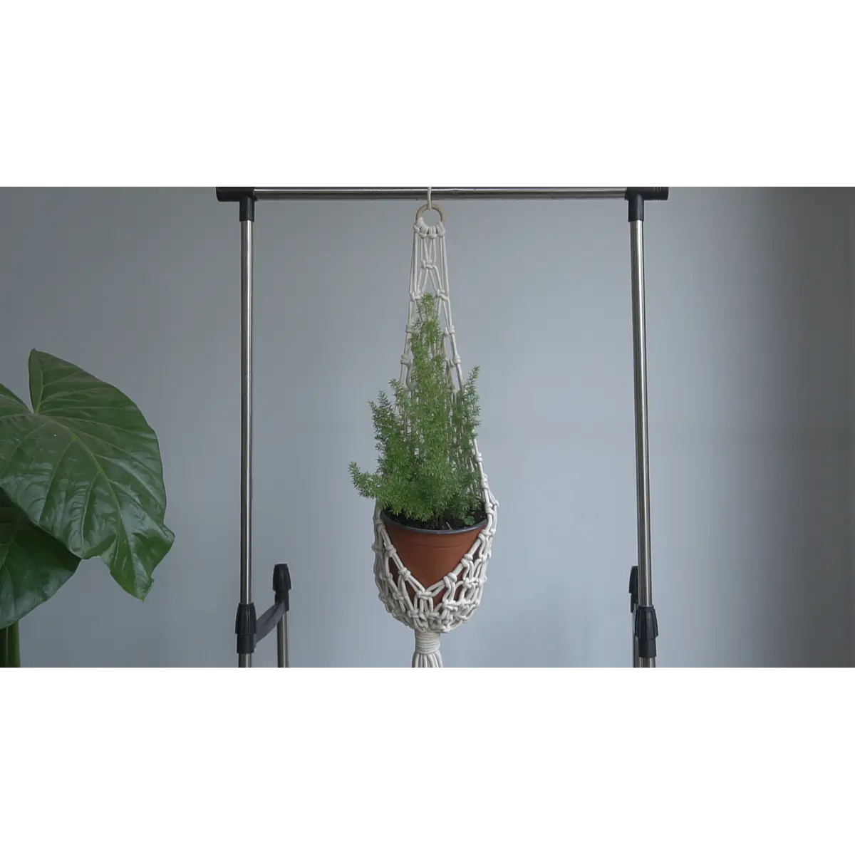 Kit Plantero