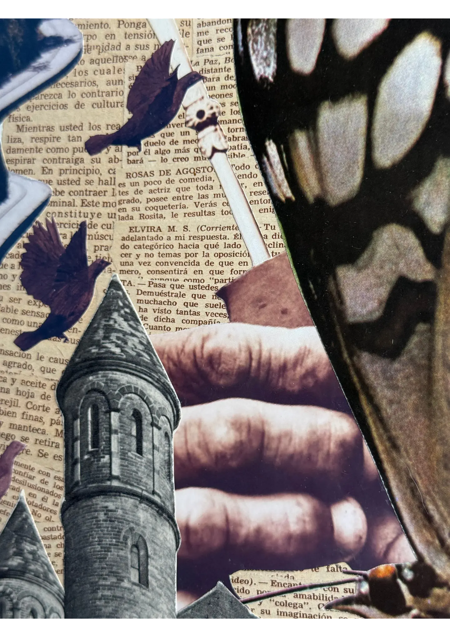 Sobrecogedor 4