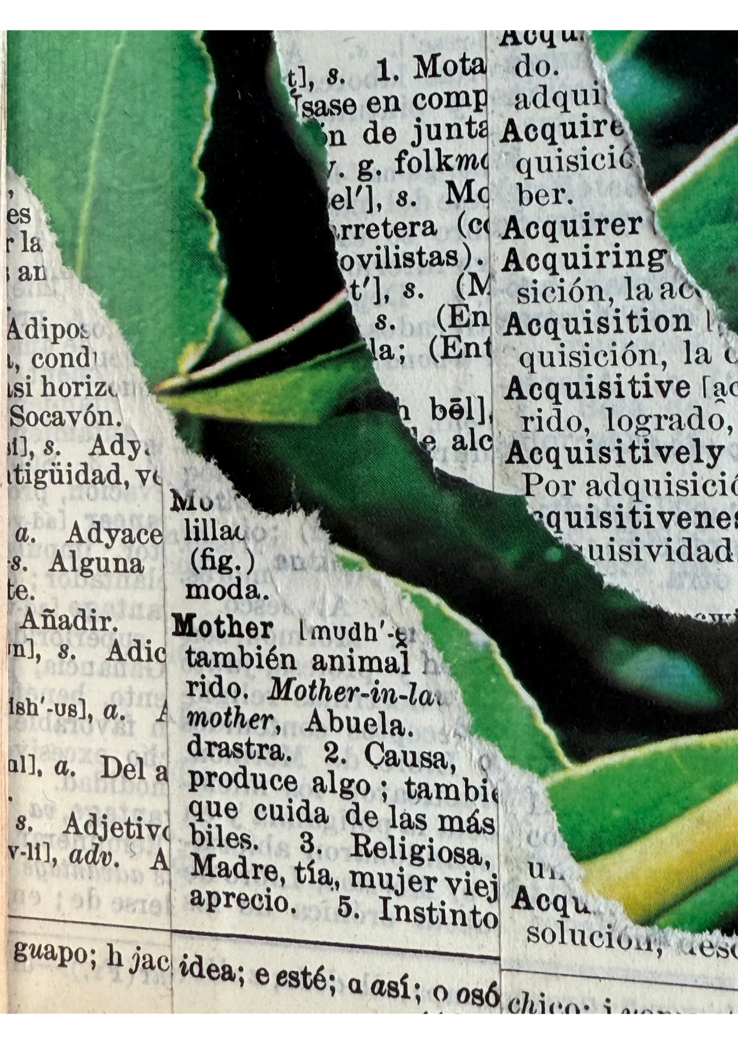 Envolverde 5