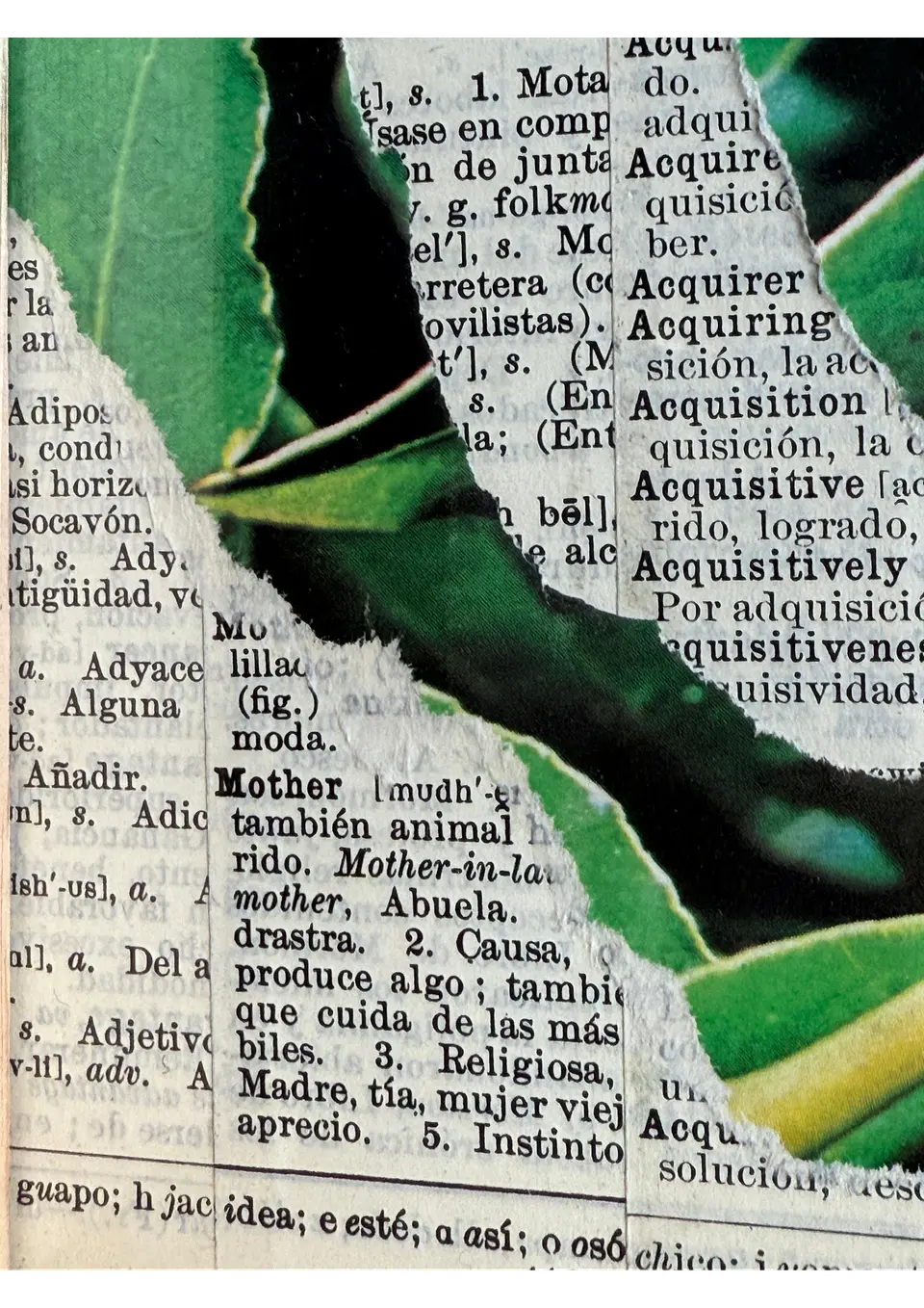 Envolverde 5