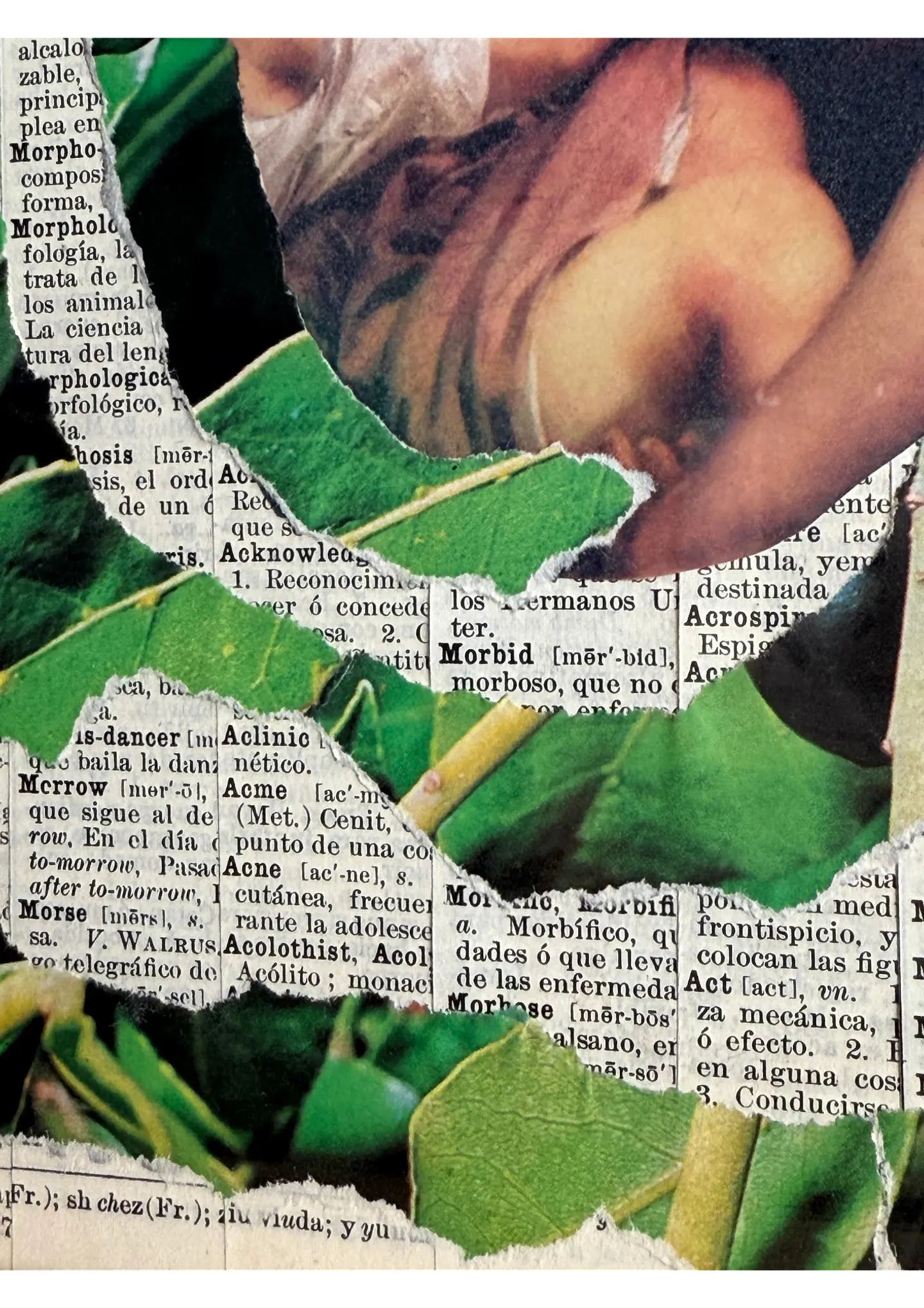 Envolverde 6