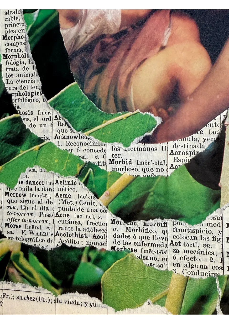 Envolverde 6