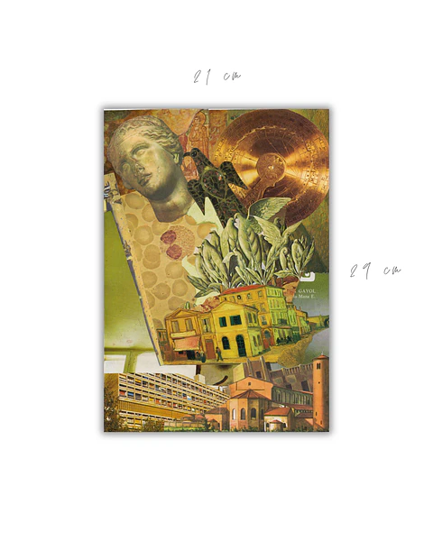 Polis ©