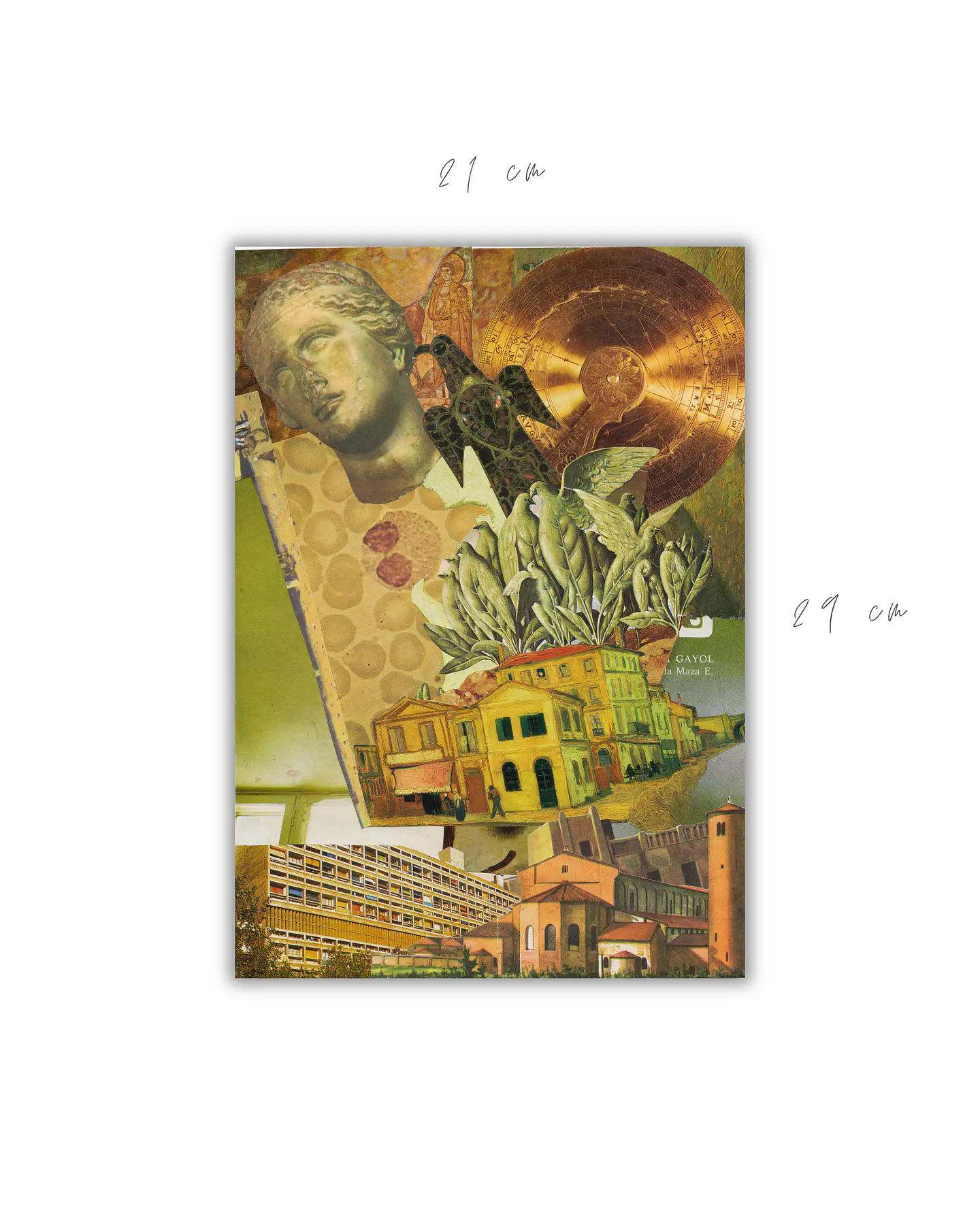 Polis © 2