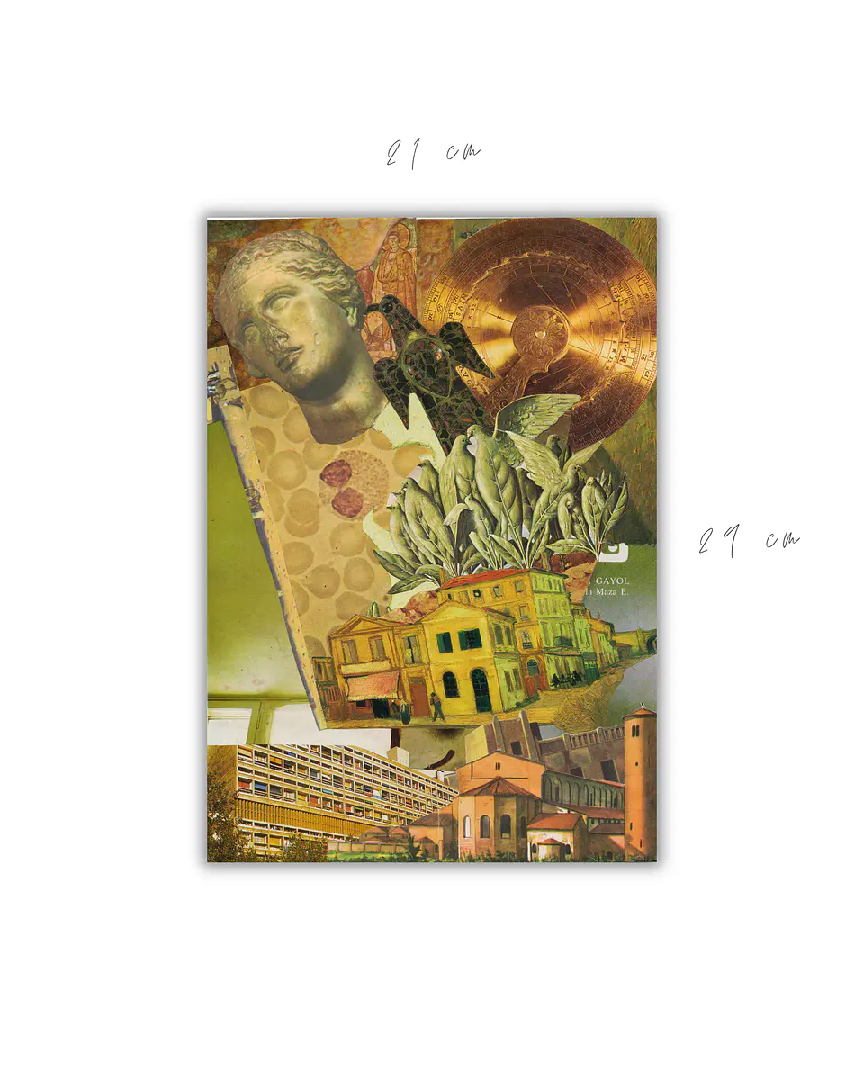 Polis © 2