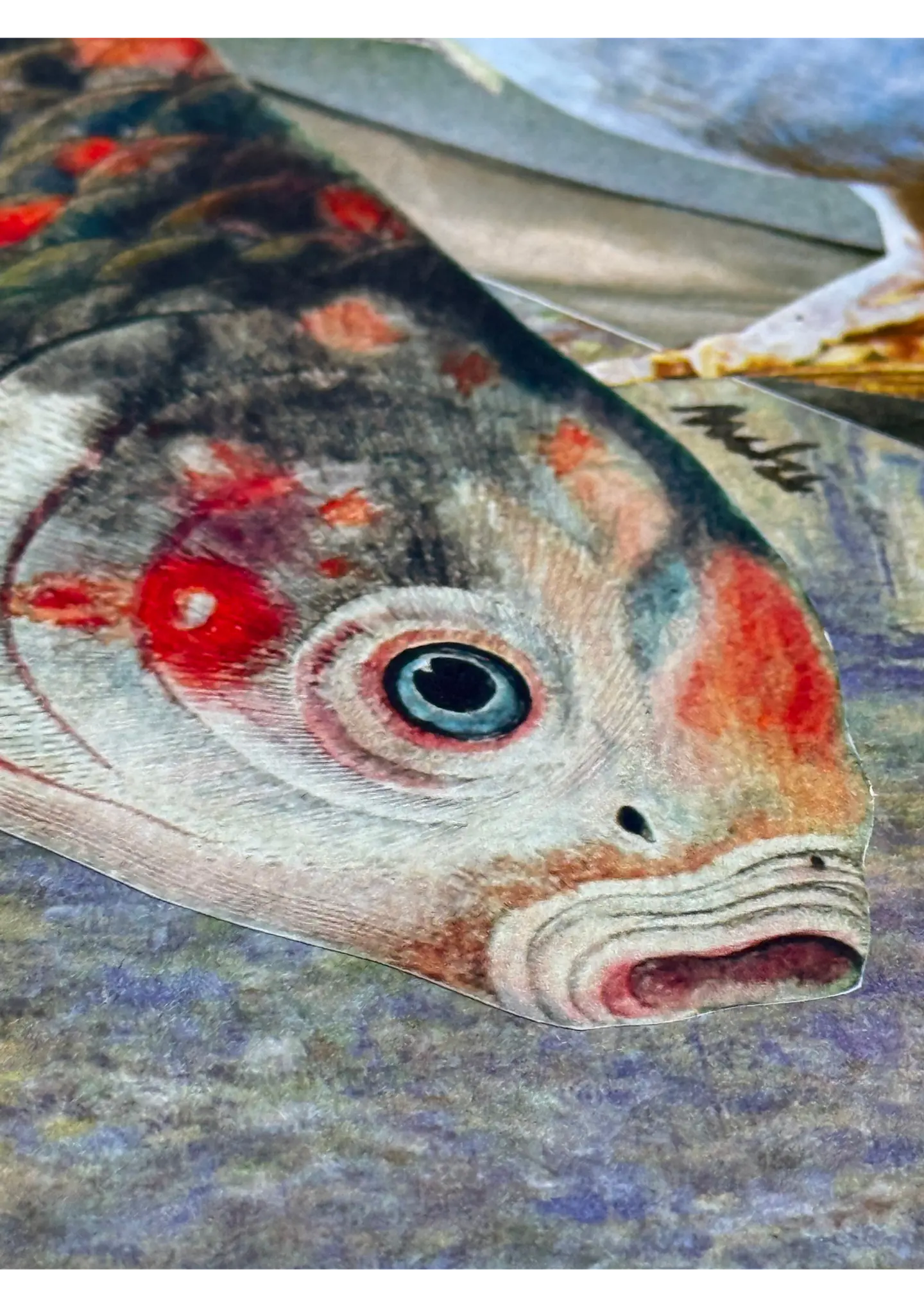 Koi © 4