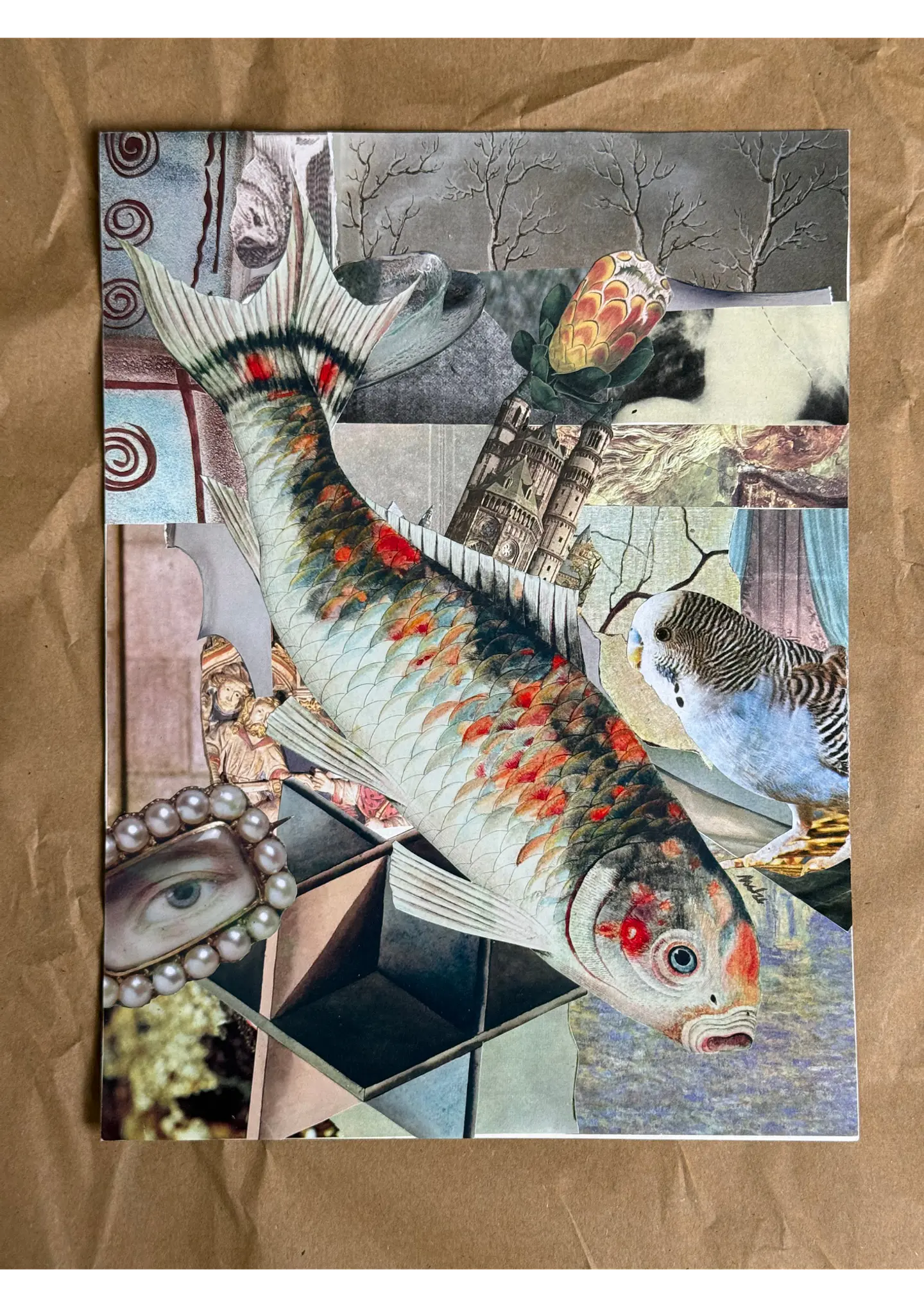 Koi © 3