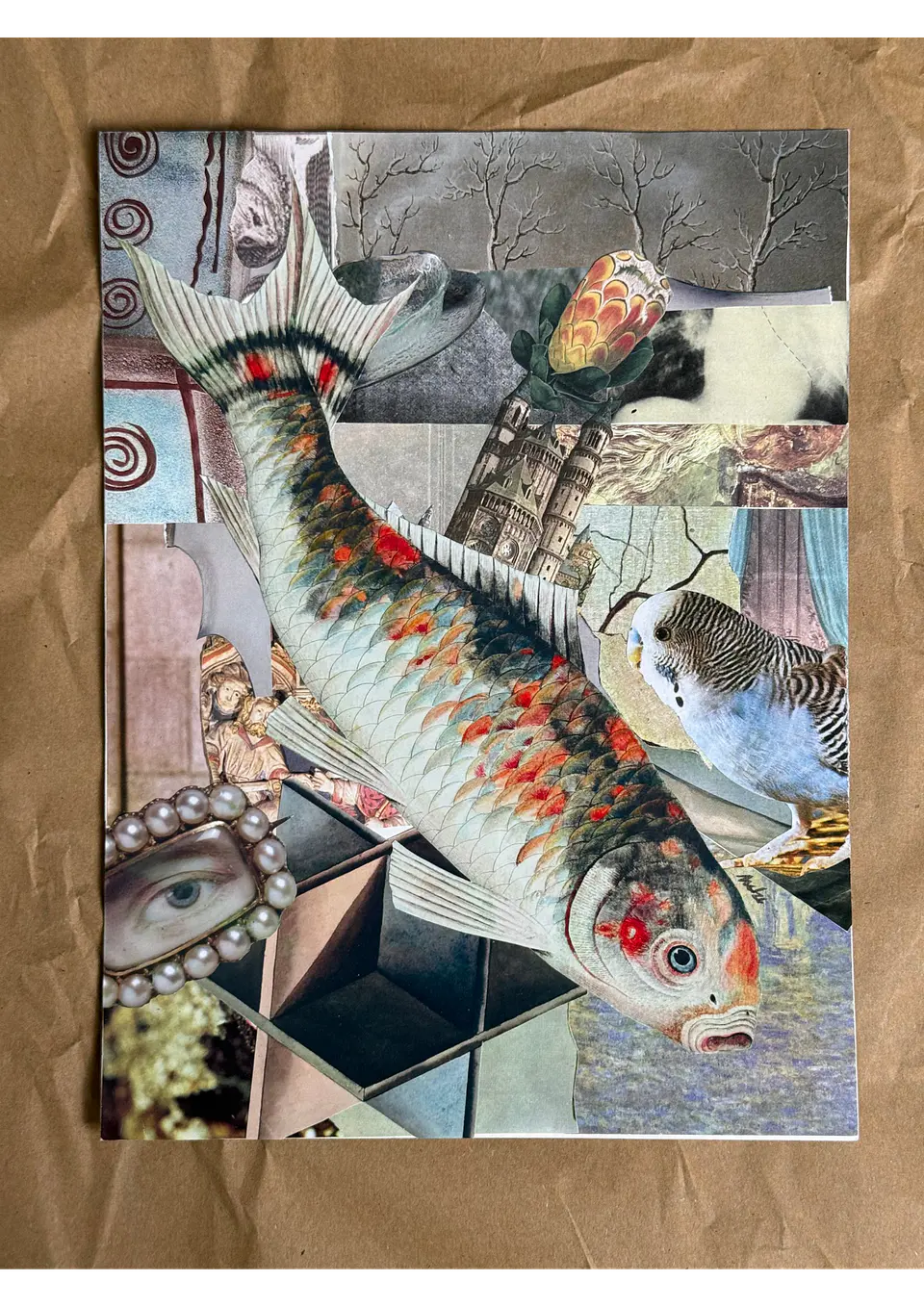 Koi © 3