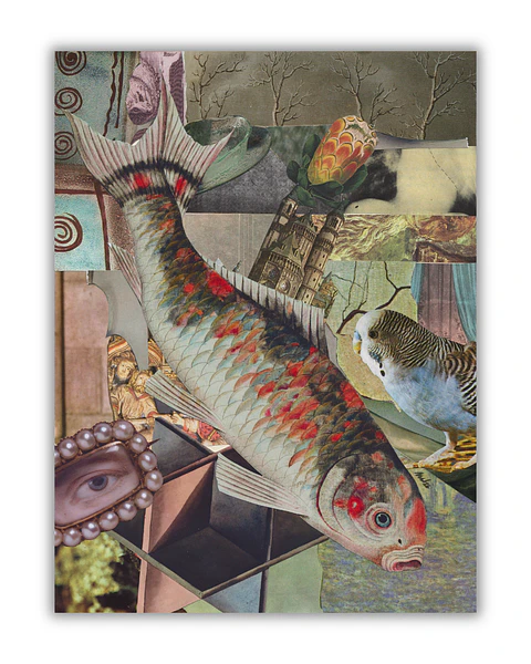 Koi ©