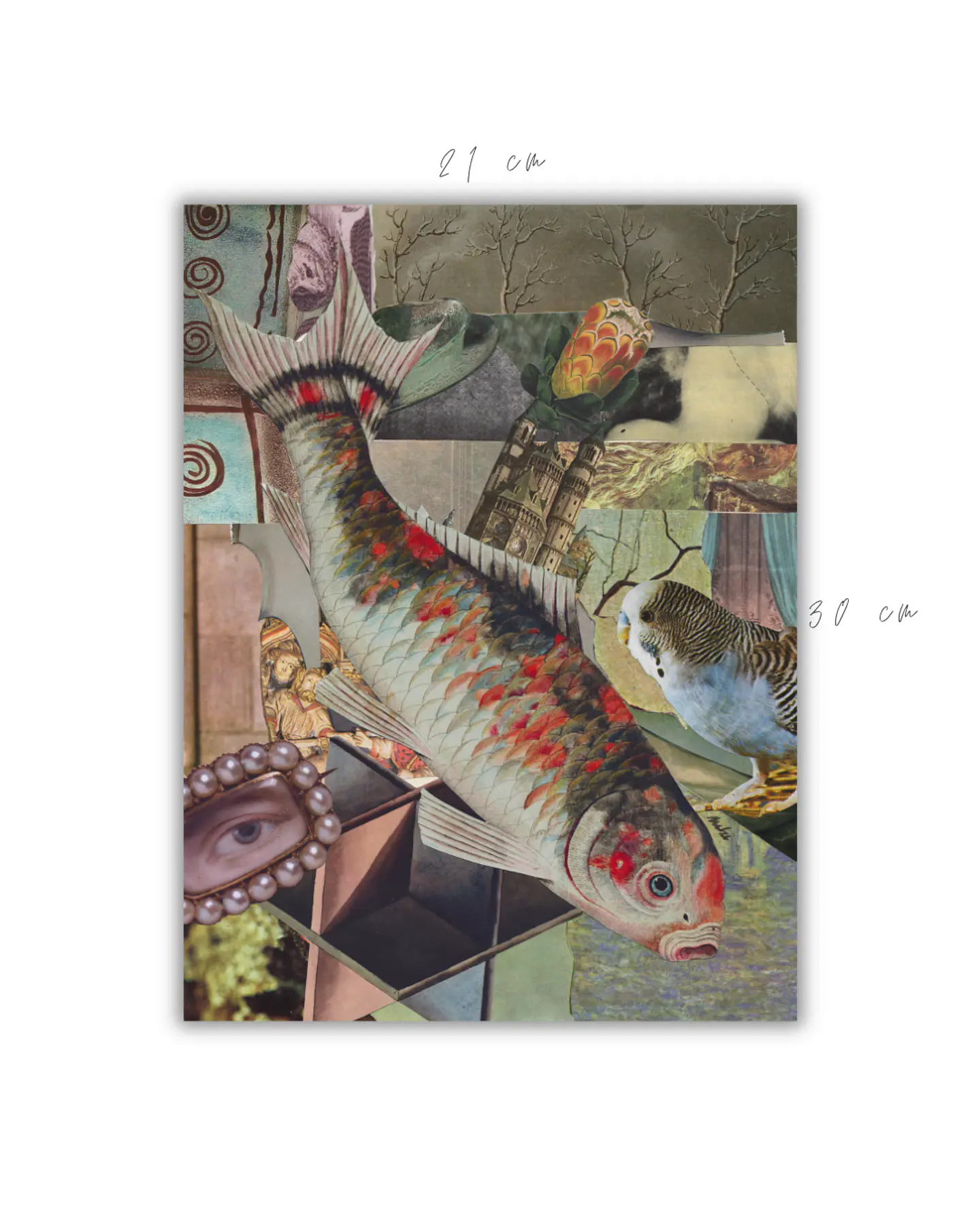 Koi © 2