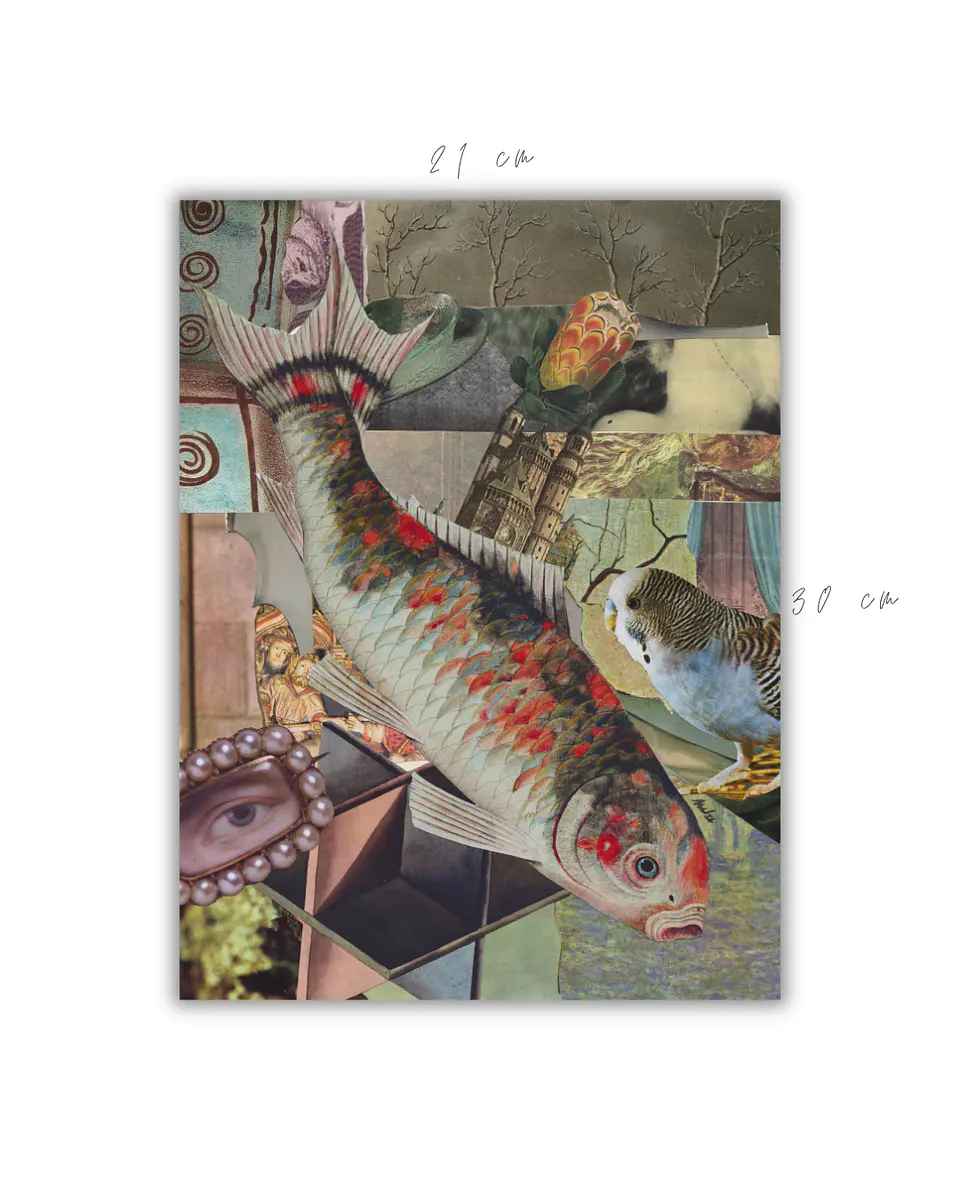 Koi © 2